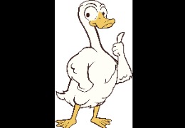 食品原料小百科：PQQ在動(dòng)物領(lǐng)域的應(yīng)用？