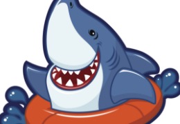 食品原料小百科：硫酸軟骨素可以用在什么地方？