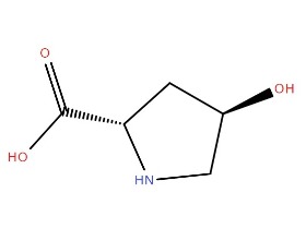 L-羥基脯氨酸 L-HYDROXPROLINE 51-35-4