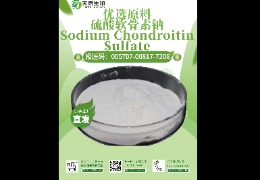軟骨救星，硫酸軟骨素鈉讓你告別關(guān)節(jié)疼痛！