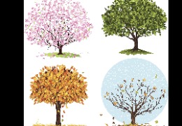 為什么換季皮膚易干燥？