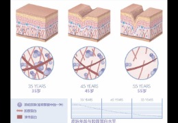 水潤(rùn)皮膚的秘密武器，乙酰殼糖胺和透明質(zhì)酸的甜蜜聯(lián)盟！