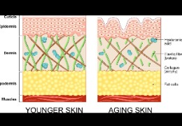 正確選擇精華素，讓你的肌膚更緊致、更年輕