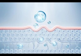 護(hù)膚品滲透和吸收是一回事嗎？