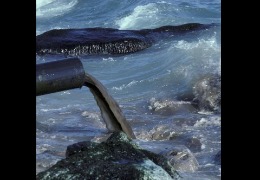 核輻射風(fēng)波，日妝還能用嗎？